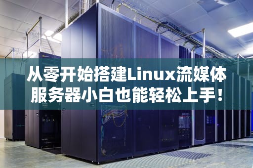 从零开始搭建Linux流媒体服务器小白也能轻松上手！