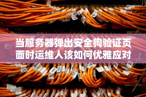 当服务器弹出安全狗验证页面时运维人该如何优雅应对？硬核科普来了！