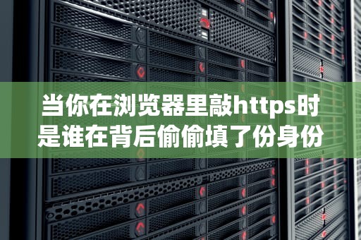 当你在浏览器里敲https时是谁在背后偷偷填了份身份证申请表？——详解SSL证书背后的关键先生CSR文件