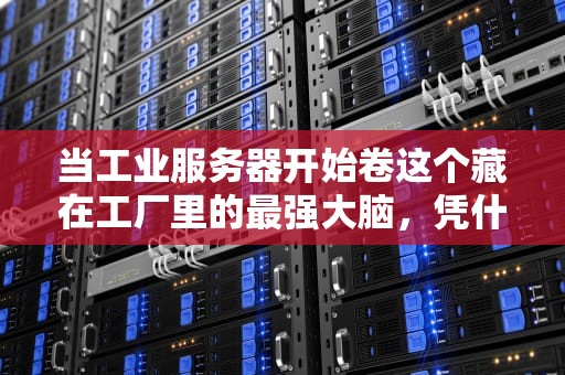 当工业服务器开始卷这个藏在工厂里的最强大脑，凭什么敢玩007工作制？