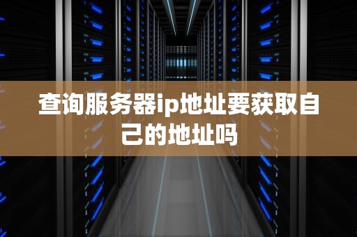 查询服务器ip地址要获取自己的地址吗