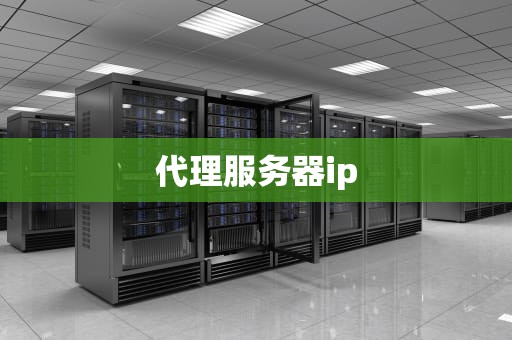 代理服务器ip