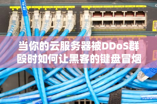 当你的云服务器被DDoS群殴时如何让黑客的键盘冒烟？🛡️💻
