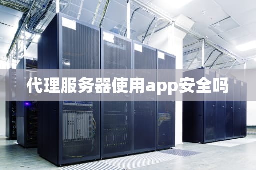 代理服务器使用app安全吗