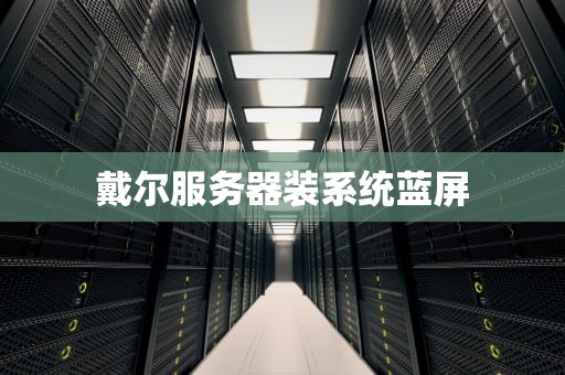 戴尔服务器装系统蓝屏
