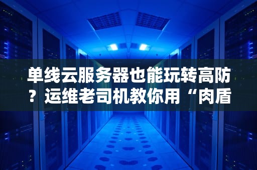 单线云服务器也能玩转高防？运维老司机教你用“肉盾战术”扛住DDoS暴击