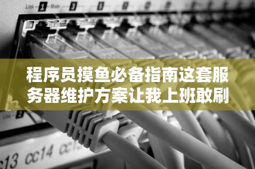程序员摸鱼必备指南这套服务器维护方案让我上班敢刷剧了！
