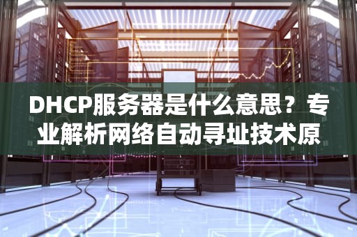 DHCP服务器是什么意思？专业解析网络自动寻址技术原理与应用