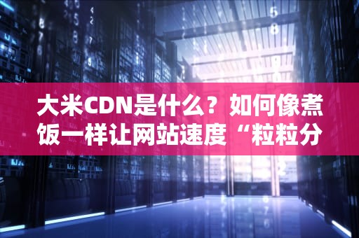 大米CDN是什么？如何像煮饭一样让网站速度“粒粒分明”？