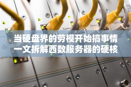 当硬盘界的劳模开始搞事情一文拆解西数服务器的硬核生存指南