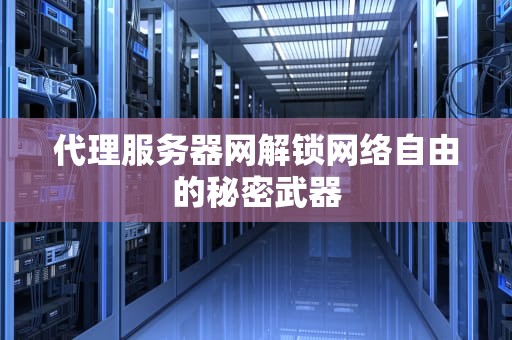 代理服务器网解锁网络自由的秘密武器