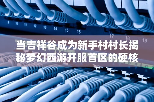 当吉祥谷成为新手村村长揭秘梦幻西游开服首区的硬核往事