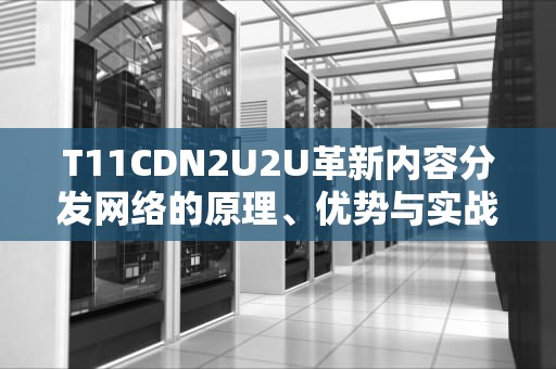 T11CDN2U2U革新内容分发网络的原理、优势与实战指南