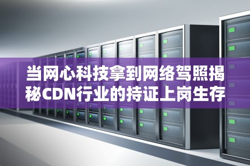 当网心科技拿到网络驾照揭秘CDN行业的持证上岗生存法则