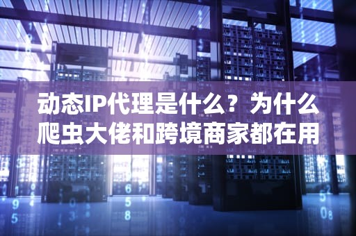 动态IP代理是什么？为什么爬虫大佬和跨境商家都在用它？（附防封指南）