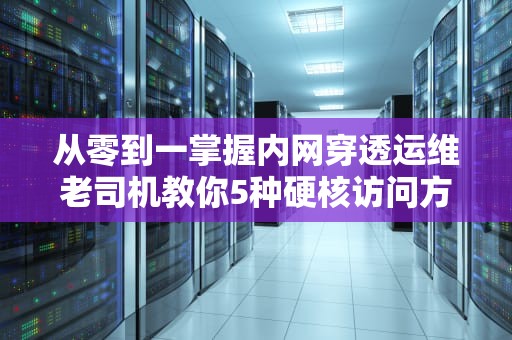 从零到一掌握内网穿透运维老司机教你5种硬核访问方式（小白必看）