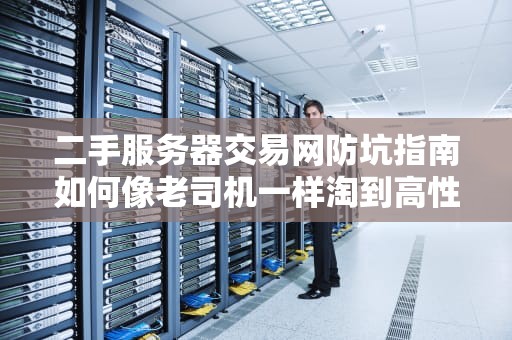 二手服务器交易网防坑指南如何像老司机一样淘到高性价比钢铁猛兽？