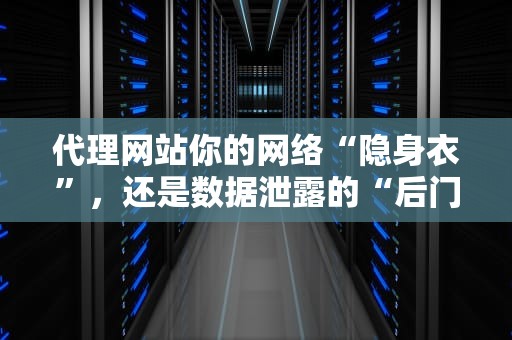 代理网站你的网络“隐身衣”，还是数据泄露的“后门”？