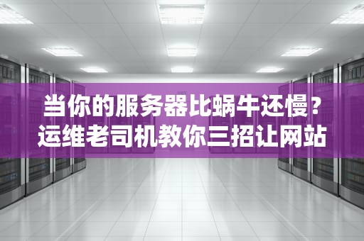 当你的服务器比蜗牛还慢？运维老司机教你三招让网站飞升成仙