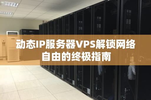 动态IP服务器VPS解锁网络自由的终极指南