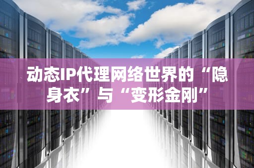 动态IP代理网络世界的“隐身衣”与“变形金刚”