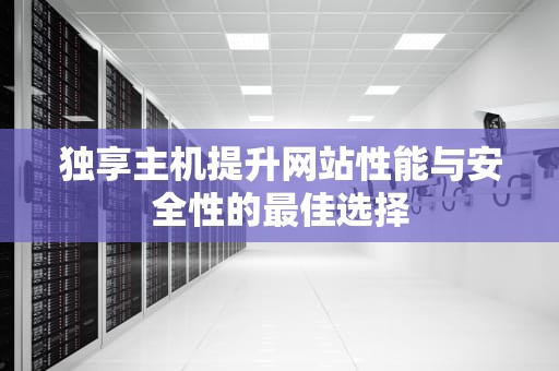 独享主机提升网站性能与安全性的最佳选择