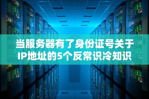 当服务器有了身份证号关于IP地址的5个反常识冷知识