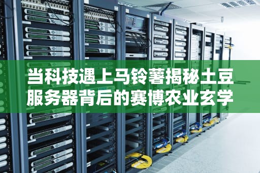 当科技遇上马铃薯揭秘土豆服务器背后的赛博农业玄学