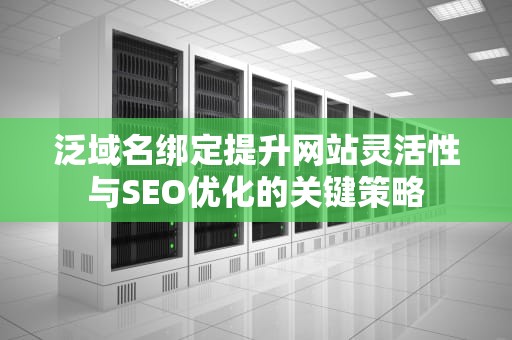 泛域名绑定提升网站灵活性与SEO优化的关键策略