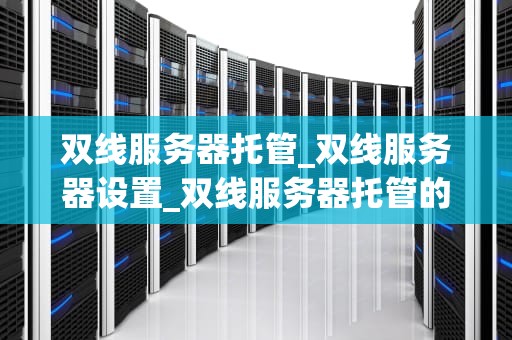 双线服务器托管_双线服务器设置_双线服务器托管的优势与应用