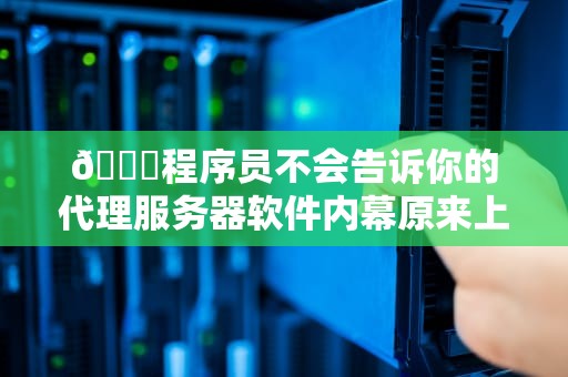 🔍程序员不会告诉你的代理服务器软件内幕原来上网也能玩套娃？🔍