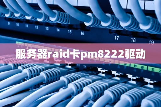 服务器raid卡pm8222驱动