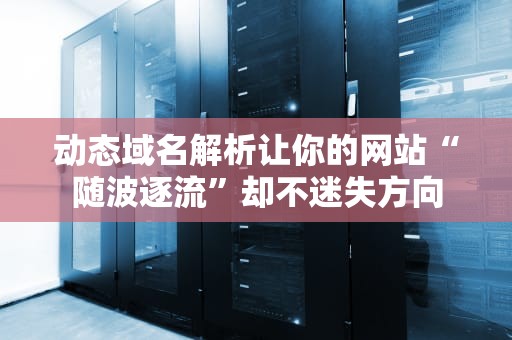 动态域名解析让你的网站“随波逐流”却不迷失方向