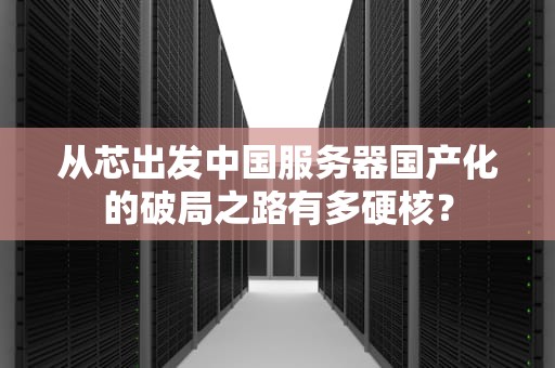 从芯出发中国服务器国产化的破局之路有多硬核？