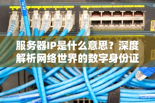 服务器IP是什么意思？深度解析网络世界的数字身份证