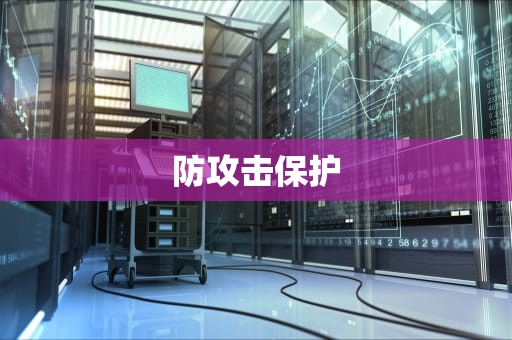防攻击保护