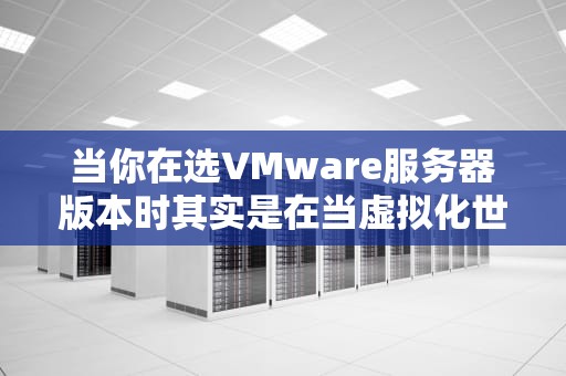 当你在选VMware服务器版本时其实是在当虚拟化世界的包租婆