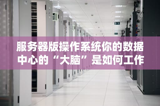服务器版操作系统你的数据中心的“大脑”是如何工作的？