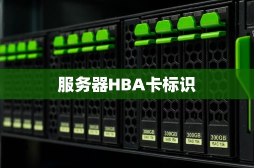 服务器HBA卡标识