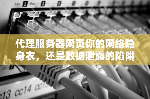 代理服务器网页你的网络隐身衣，还是数据泄露的陷阱？
