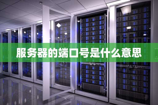服务器的端口号是什么意思
