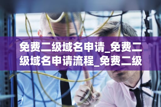 免费二级域名申请_免费二级域名申请流程_免费二级域名申请的全面指南