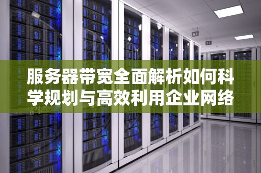 服务器带宽全面解析如何科学规划与高效利用企业网络资源