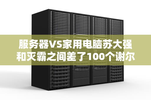 服务器VS家用电脑苏大强和灭霸之间差了100个谢尔顿？