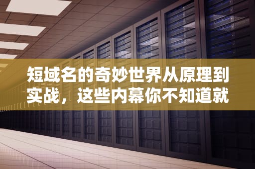短域名的奇妙世界从原理到实战，这些内幕你不知道就亏大了！
