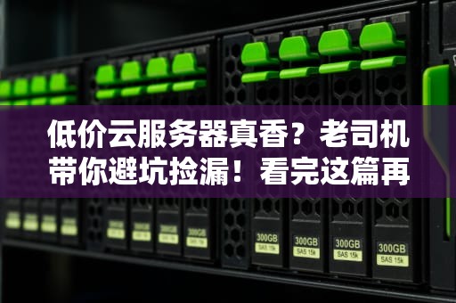 低价云服务器真香？老司机带你避坑捡漏！看完这篇再剁手不迟