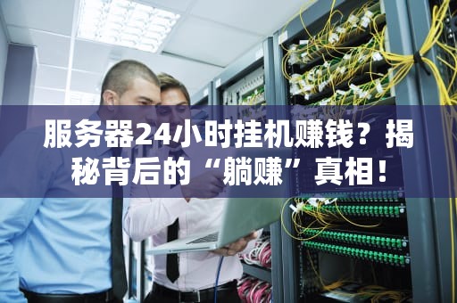 服务器24小时挂机赚钱？揭秘背后的“躺赚”真相！