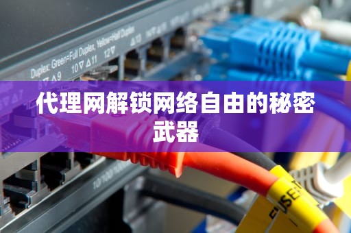 代理网解锁网络自由的秘密武器