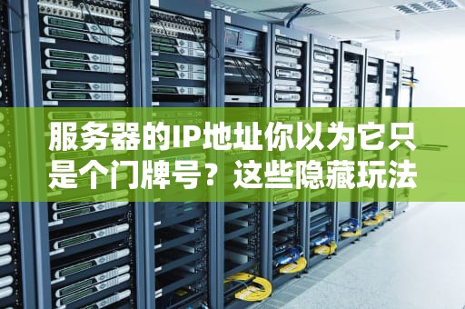 服务器的IP地址你以为它只是个门牌号？这些隐藏玩法能让你直呼内行！