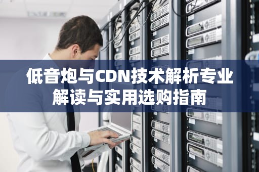 低音炮与CDN技术解析专业解读与实用选购指南